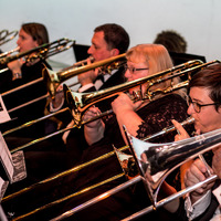 Image thumbnail for pcb2016-113r